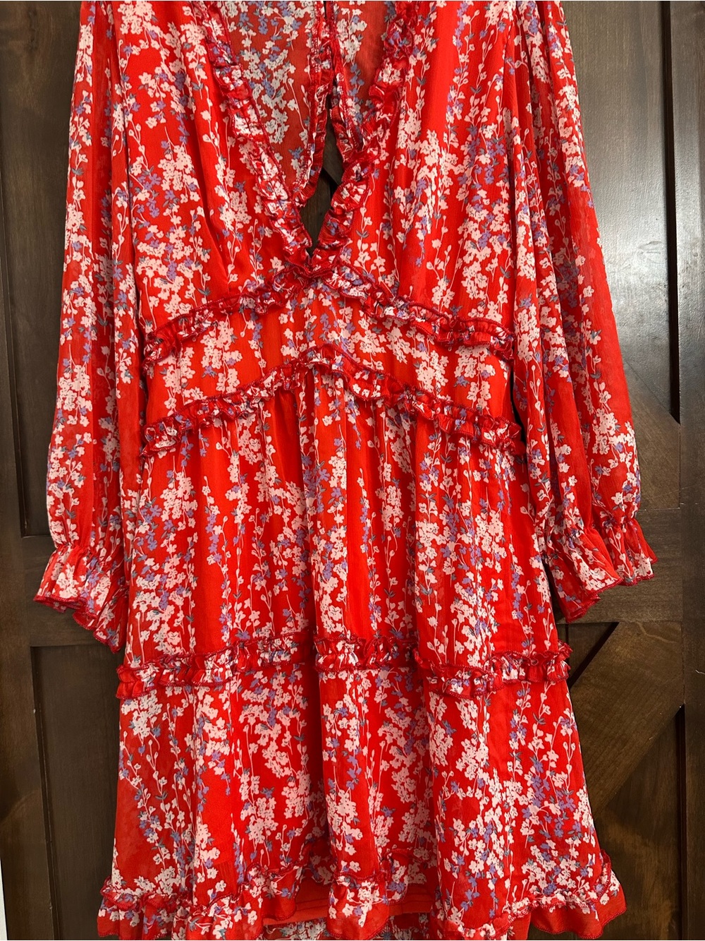 Amazon Red Floral Ruffled Mini Dress - Picture 2 of 6
